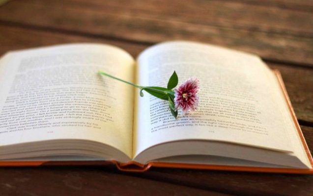 lập danh sách muốn đọc