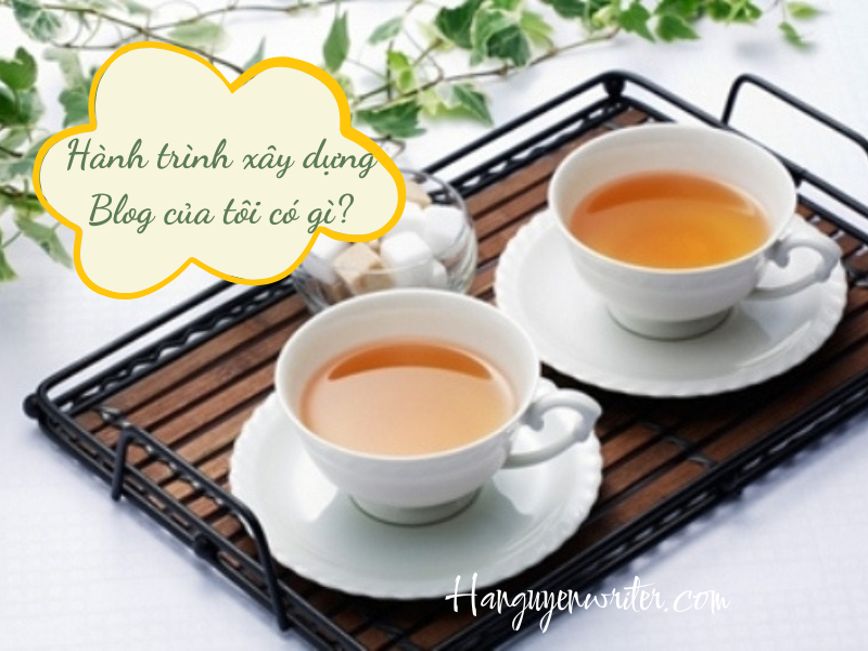 hành trình viết blog của tôi
