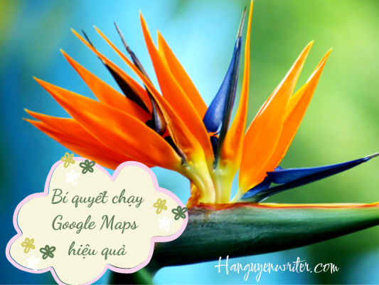 chay-quang-cao-google-maps
